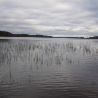 Foto de Haukivuori