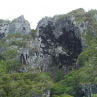 Foto de Falcon (Cueva del Indio)
