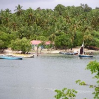 Foto de Ile a Vache