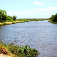 Foto de Martín Chico (Carmelo)