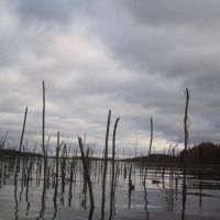 Foto de Haukivuori