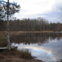 Foto de Haukivuori