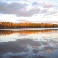 Foto de Haukivuori
