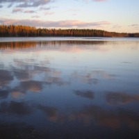 Foto de Haukivuori