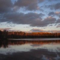 Foto de Haukivuori