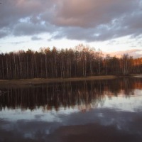Foto de Haukivuori