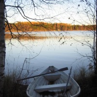 Foto de Haukivuori