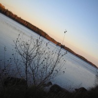 Foto de Haukivuori