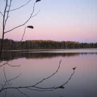 Foto de Haukivuori