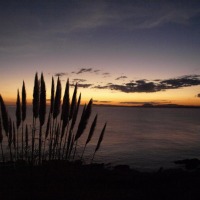 Foto de Punta Ballena