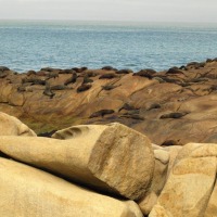 Foto de Cabo Polonio