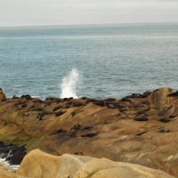Foto de Cabo Polonio