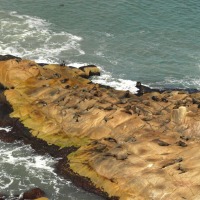 Foto de Cabo Polonio