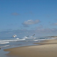 Foto de Punta Diablo