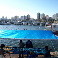 Foto de Punta del Este