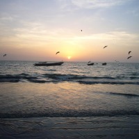 Foto de Sanyang