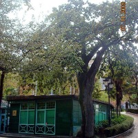 Foto de Oviedo