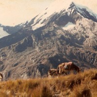 Foto de Nevado del Champara