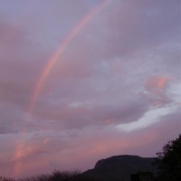 Foto de Guanacaste