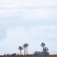Foto de Rocha
