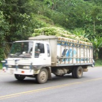 Foto de Santo Domingo de los Sachilas