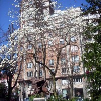 Foto de Oviedo
