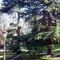 Foto de Oviedo