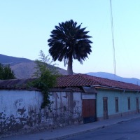 Foto de Petorca