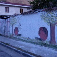 Foto de Petorca