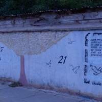 Foto de Petorca