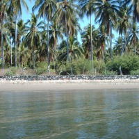 Foto de Isla Madre Sal