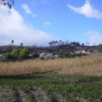Foto de Sibambe