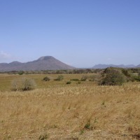 Foto de Guanacaste