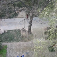 Foto de Xian