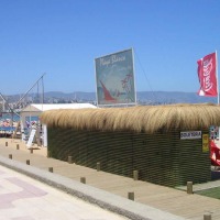Foto de Viña del Mar