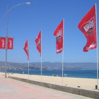 Foto de Viña del Mar