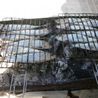 Foto de Muley Buselham