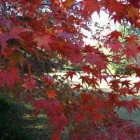 Foto de Hangzhou