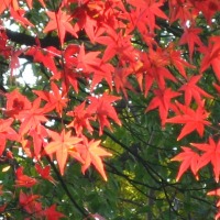 Foto de Hangzhou