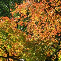 Foto de Hangzhou