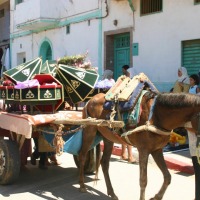 Foto de Asilah