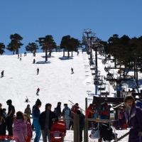 Foto de Navacerrada