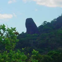 Foto de Amazonas