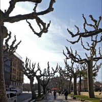 Foto de Calatayud