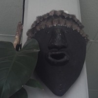 Foto de Amazona