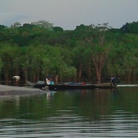 Foto de Amazonas
