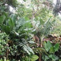 Foto de Foz do Iguacu