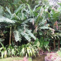 Foto de Foz do Iguacu