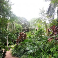Foto de Foz do Iguacu