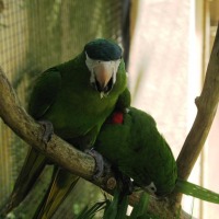 Foto de Foz do Iguacu